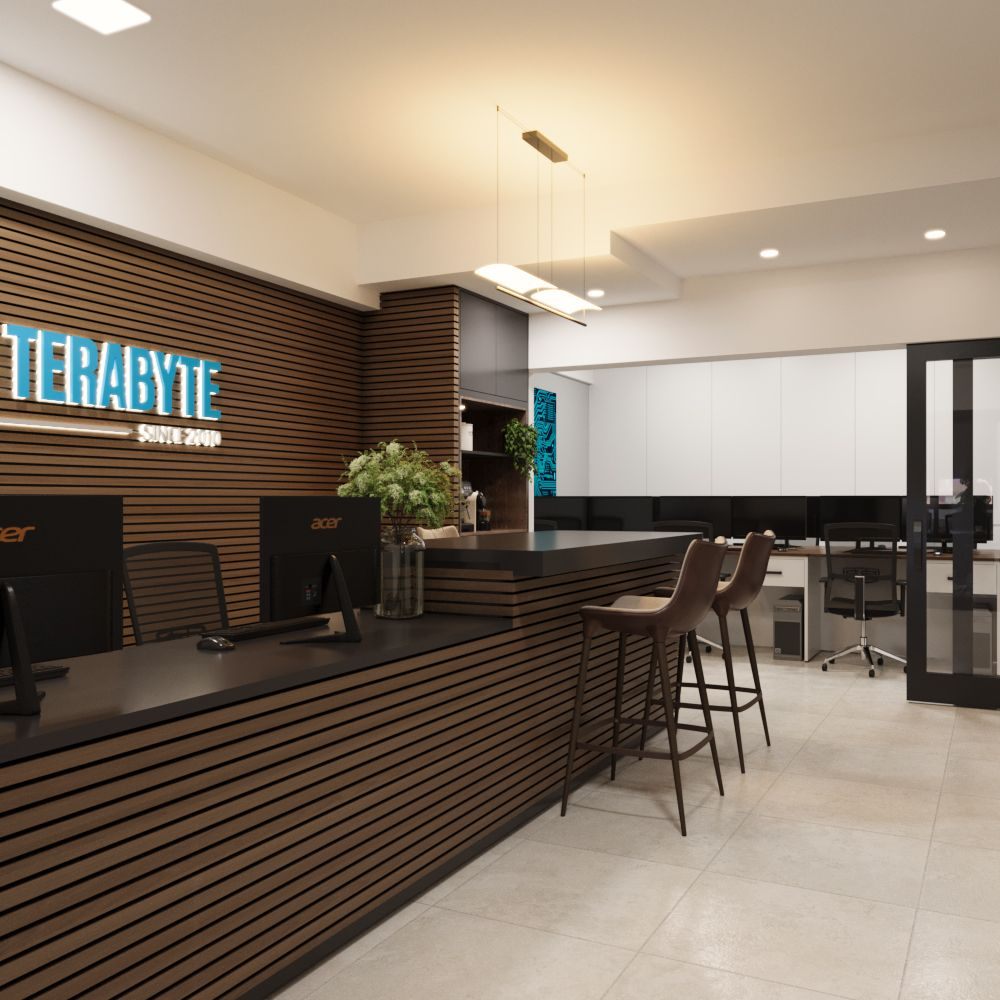 Reception at the Terabyte office